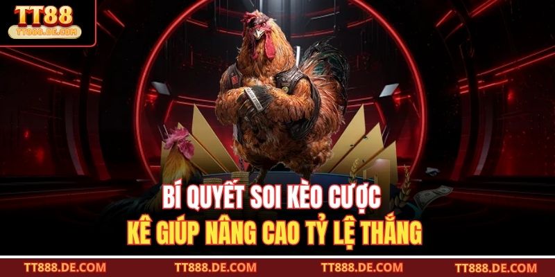 Bí quyết soi kèo cược kê giúp nâng cao tỷ lệ thắng
