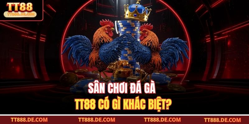 Sân chơi đá gà TT88 có gì khác biệt?
